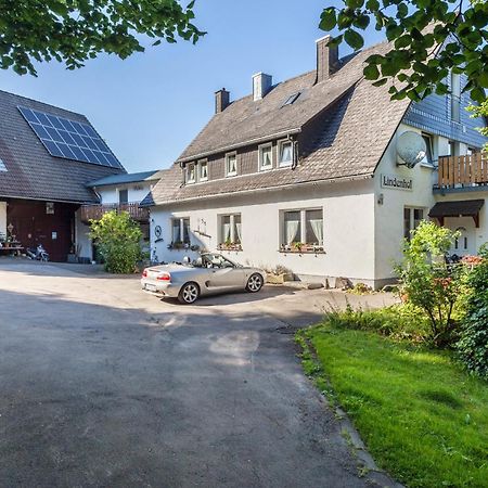 Ferienwohnungen Lindenhof Willingen  Eksteriør billede
